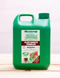 Going Green