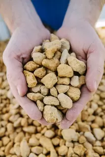 Hands Aggregates