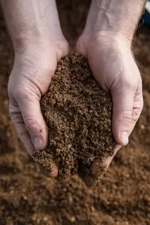 Hands Aggregates