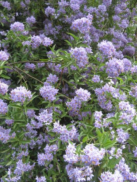 provender-product