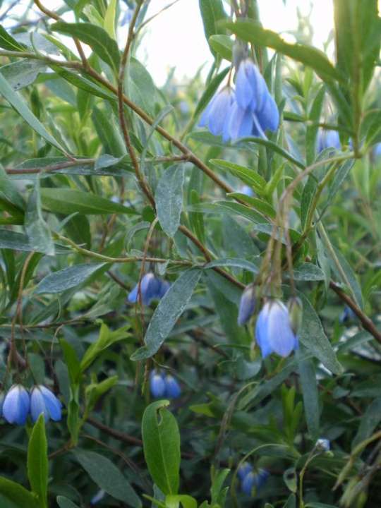 provender-product
