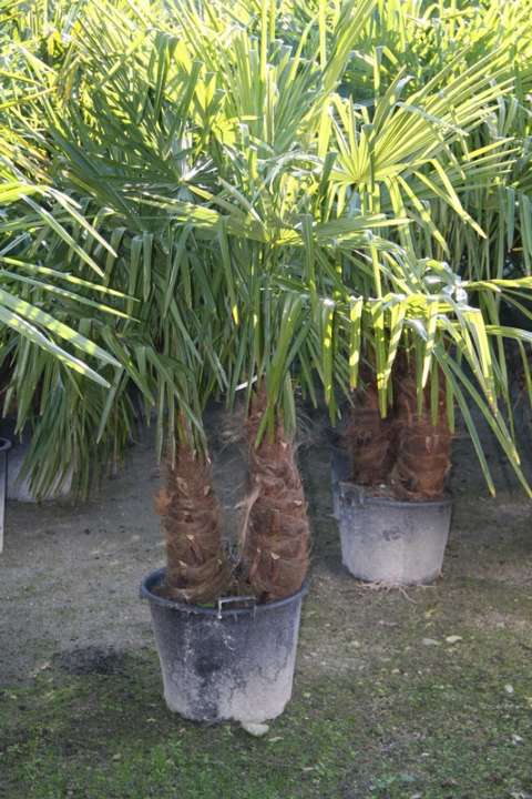 provender-product