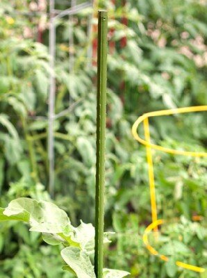 PE Coated Metal Plant Stakes