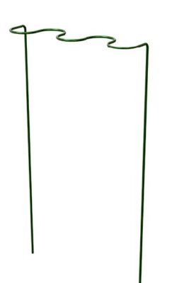 Border Edge Plant Support