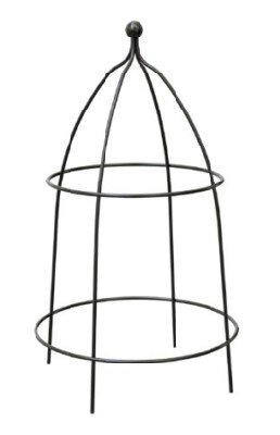 Herbaceous Plant Cloche