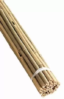 Bamboo Canes 3ft