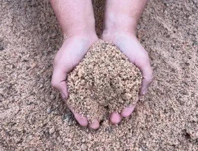 Rock Salt - image 2