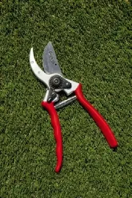 Darlac Drop Forged Secateur