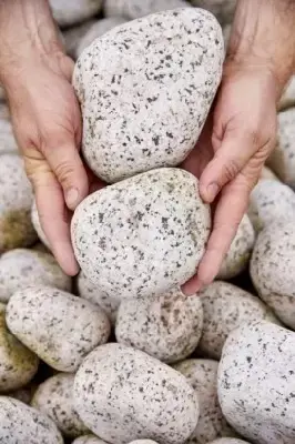 Granite Cobbles Pink