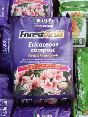 Ericaceous Compost Bulrush
