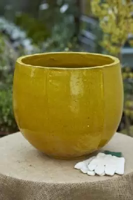 Pot Glazed Pumpkin Pot AYL