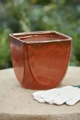 Pot Glazed Todd Square FOG