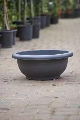 Pot Giove Bowl