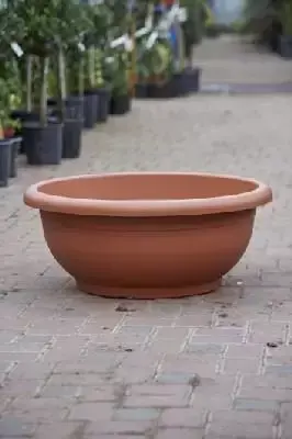 Pot Giove Bowl