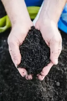 Organic Compost