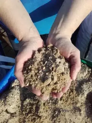 Grit Sand