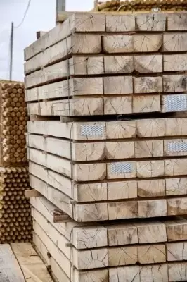Sleeper New Oak