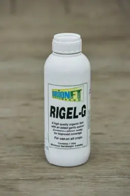 Rigel G