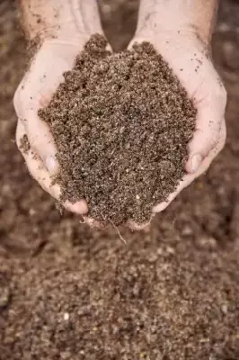 Provender Ericaceous Compost - image 2