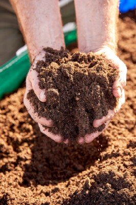 Provender Ericaceous Compost - image 2