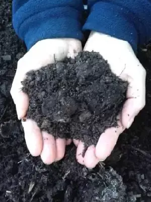 Provender Nurseries Vegetable Soil