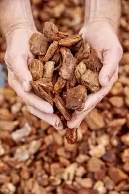 Bark Ornamental Nuggets