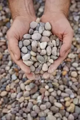 Scottish Pebbles - image 2