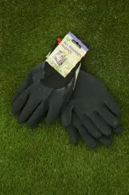 Glove All Rounder