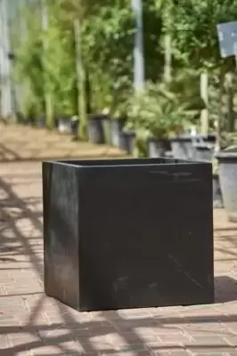 Pot Fibreglass Black Cube