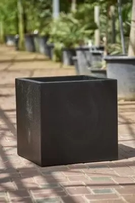 Pot Fibreglass Black Cube