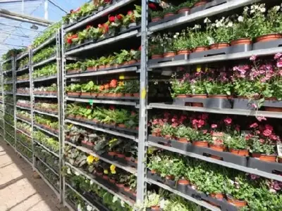 BEDDING mixed
