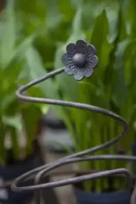 Garden Plant Support Lily Corten Steel