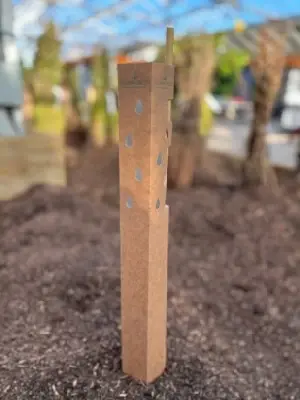 Biodegradable Hedge Guard