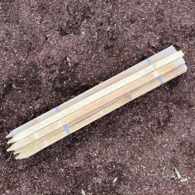 Tree Stake for Biodegradable Tree Guard