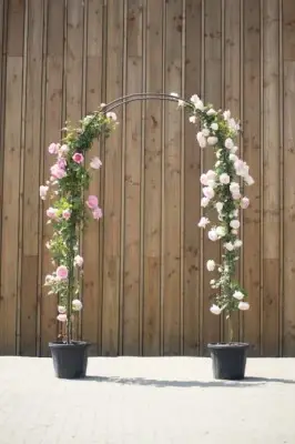 ROSA white/pink - image 2