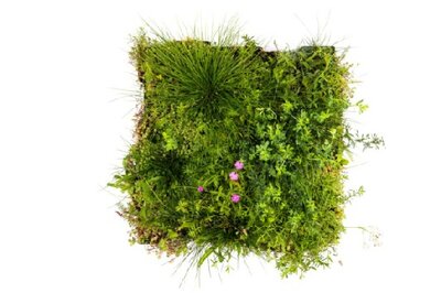 Green Mobiroof Sedum & Wildflower Eco New