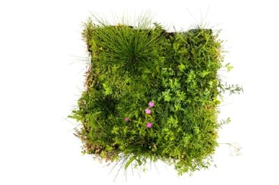 Green Mobiroof Sedum & Wildflower Eco New