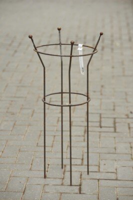 Garden Plant Support Paeonia Corten Steel