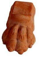 Pot Feet Lions Foot