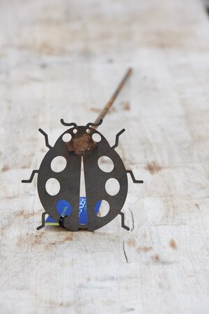 Plant Support Insect - Ladybird - image 1