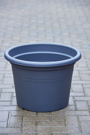 Pot Day Cylinder - image 1