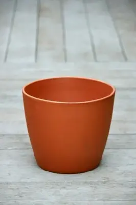 Pot Egg Pot