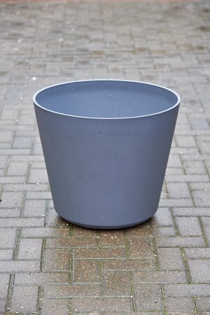 Pot Origin - image 1