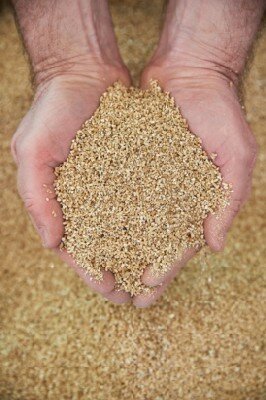 Vermiculite - image 2