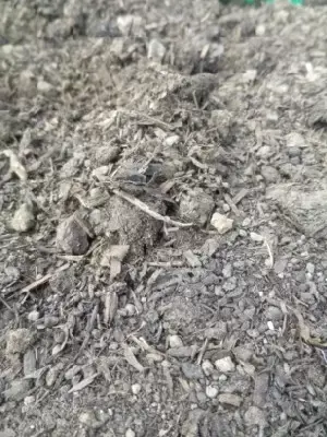 Provender Nurseries Vegetable Soil - image 2