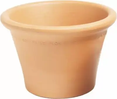 Pot Harrogate Pot - image 2