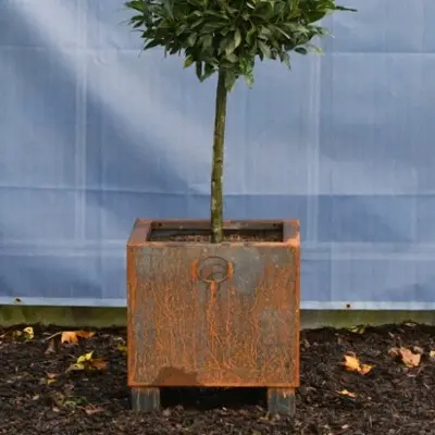 Provender Planter Corten Modular System Cube - image 2