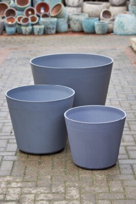 Pot Origin - image 4