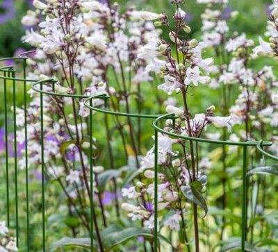 Link Supports - image 2