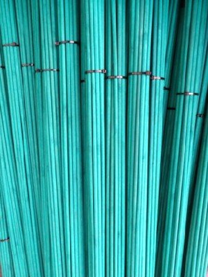 Split Canes - image 2